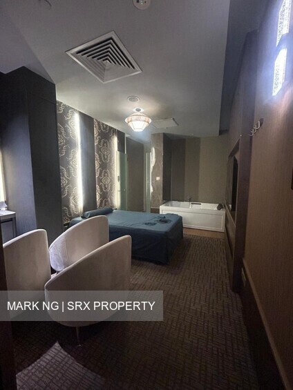 Furama Riverfront (D3), Retail #622248221